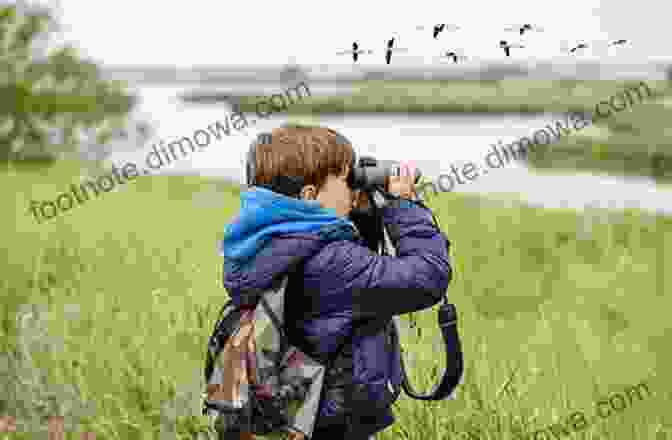 A Person Sitting In Nature, Observing Birds With Binoculars The Art Of Mindful Birdwatching: Reflections On Freedom Being (Mindfulness Series)