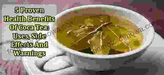 A Steaming Cup Of Coca Tea, Known For Its Stimulating And Medicinal Properties Coca And Its Therapeutic Application (Illustrated)