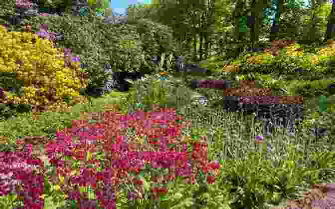 A Vibrant Spring Garden With Colorful Flowers And Lush Greenery Twigs In My Hair: A Gardening Memoir