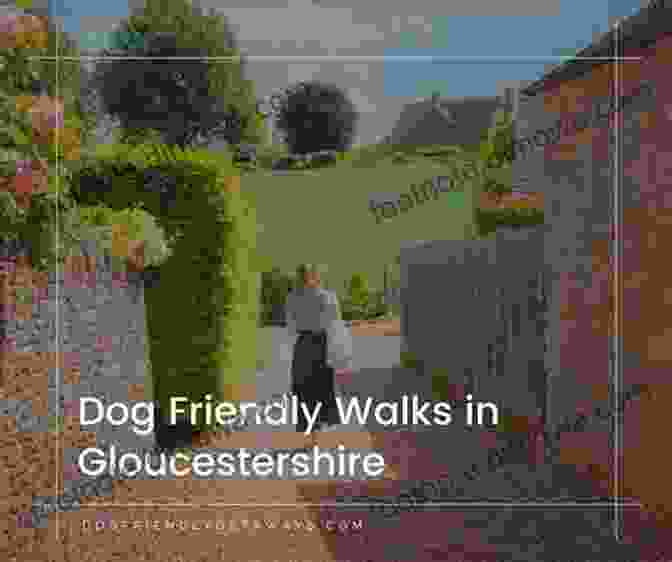 Dog Walking On A Path In Gloucestershire The Dog Friendly Gloucestershire And The Cotswolds