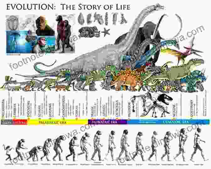 Historical Timeline Depicting The Evolution Of Animal Species, Highlighting Genetic Adaptations Efficient Livestock Handling: The Practical Application Of Animal Welfare And Behavioral Science