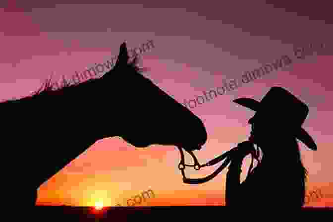 Silhouetted Cowgirl On Horseback Against A Golden Sunset Every Cowgirl Loves A Rodeo