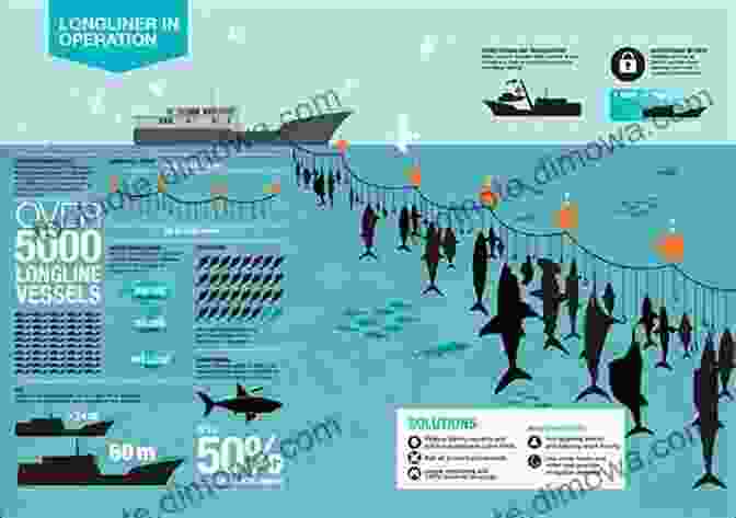 Sustainable Management Practices, Such As Ecotourism And Responsible Fishing, In The Danube Delta The Bio Politics Of The Danube Delta: Nature History Policies