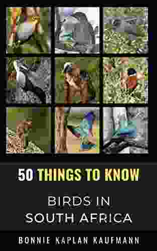 50 Things To Know About Birds In South Africa: Beginners Guide To Birding In South Africa (50 Things To Know About Birds United States 23)