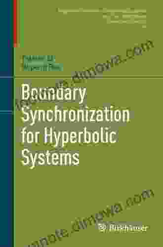 Boundary Synchronization for Hyperbolic Systems (Progress in Nonlinear Differential Equations and Their Applications 94)