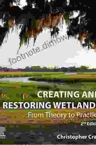 Creating And Restoring Wetlands: From Theory To Practice