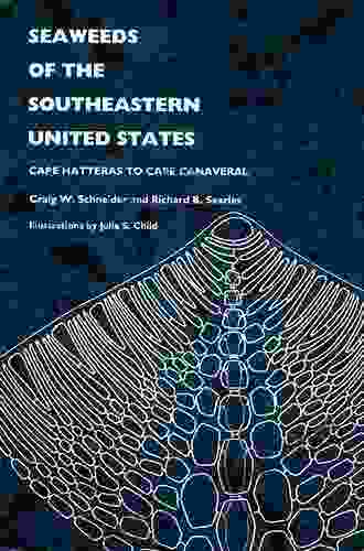 Seaweeds Of The Southeastern United States: Cape Hatteras To Cape Canaveral