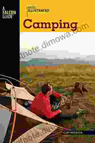 Basic Illustrated Camping (Basic Illustrated Series)