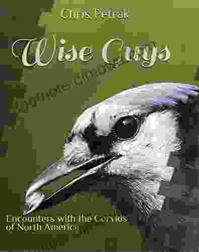 Wise Guys: Encounters With The Corvids Of North America