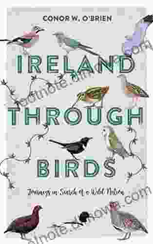 Ireland Through Birds: Journeys In Search Of A Wild Nation