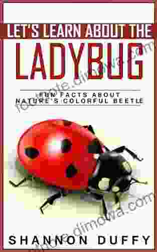 Let S Learn About The Ladybug Fun Facts About Nature S Colorful Beetle