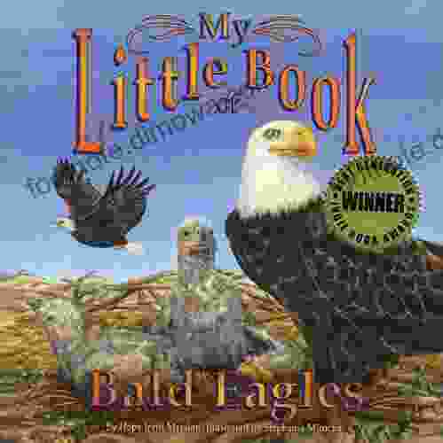 My Little Of Bald Eagles