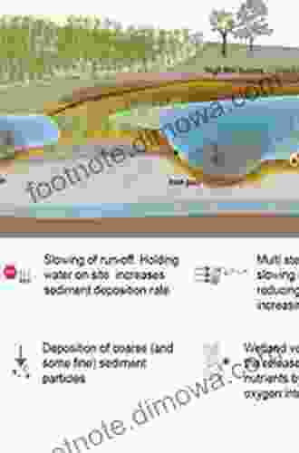 Multifunctional Wetlands: Pollution Abatement And Other Ecological Services From Natural And Constructed Wetlands (Environmental Contamination Remediation And Management)