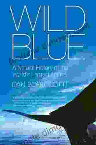 Wild Blue: A Natural History Of The World S Largest Animal