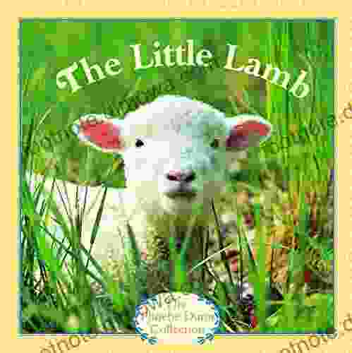 The Little Lamb (Pictureback(R))