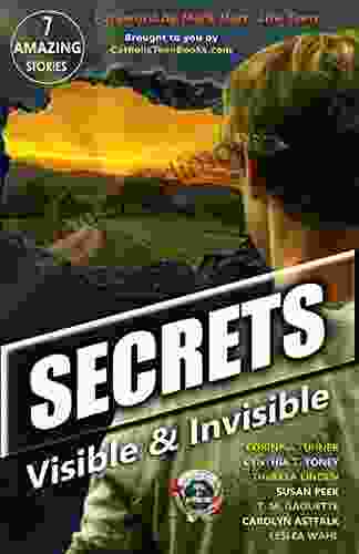 Secrets: Visible Invisible (Catholic Teen Visible Invisible Anthology Series)