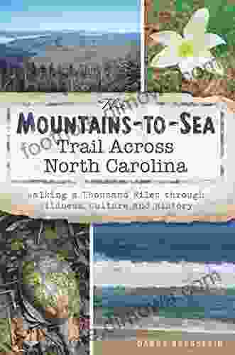 The Mountains To Sea Trail Across North Carolina: Walking A Thousand Miles Through Wildness Culture And History (Natural History)